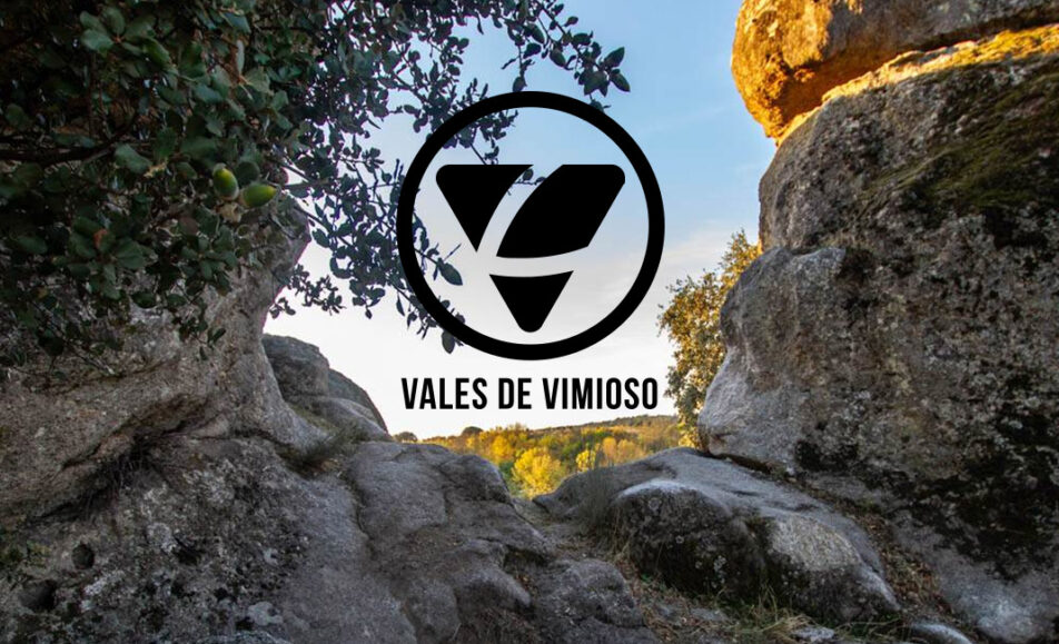 Venue - Estadio Municipal do Vimioso